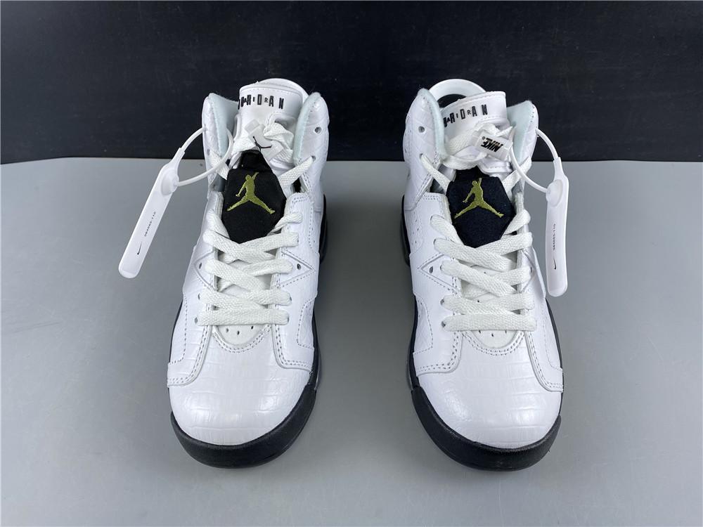 Air Jordan 6 Retro Alligator (GS)