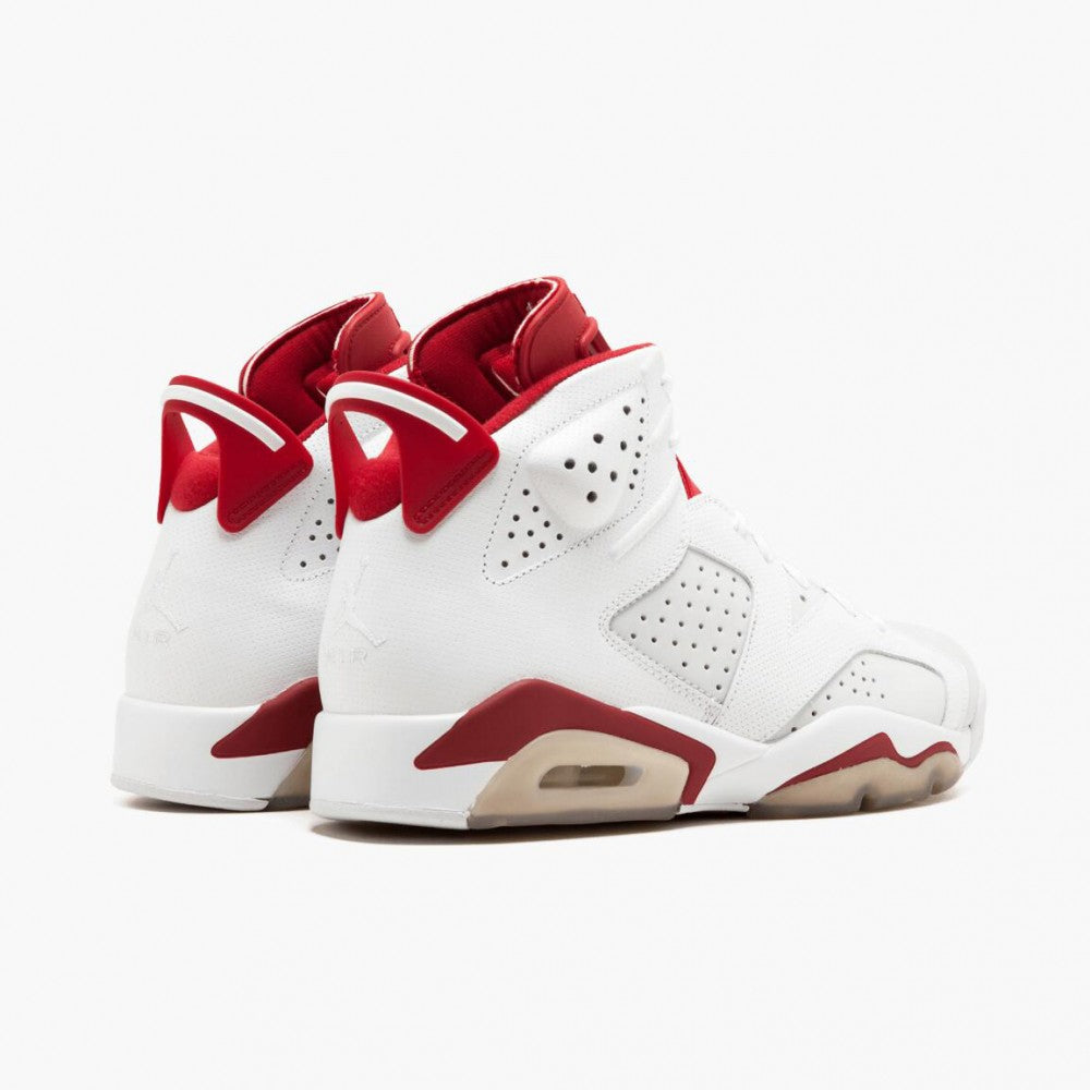 Air Jordan Retro 6 Alternate
