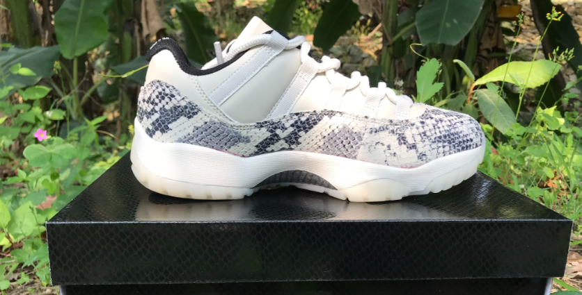 Air Jordan 11 Gray Snake Pattern