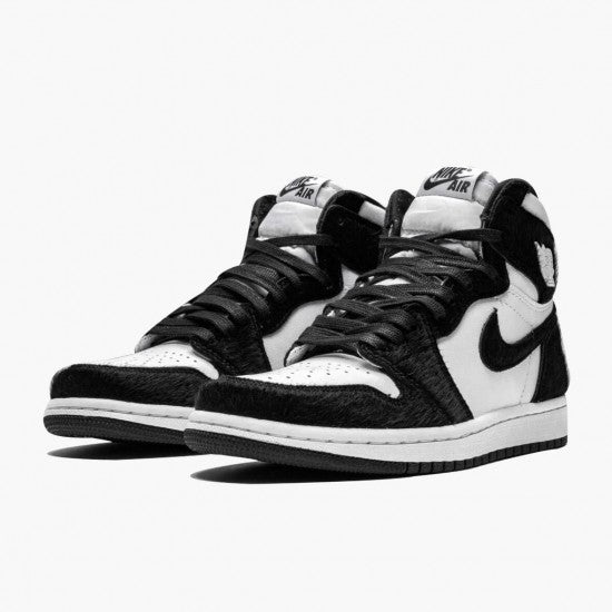 Air Jordan 1 “Twist”