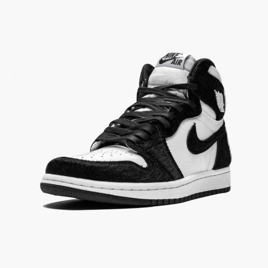 Air Jordan 1 “Twist”