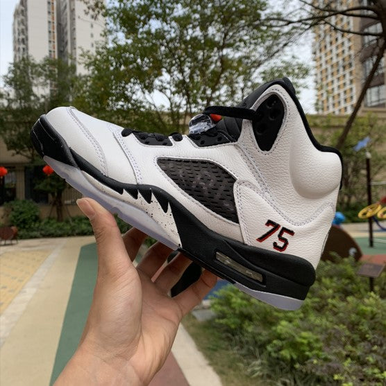 Air Jordan 5 Paris