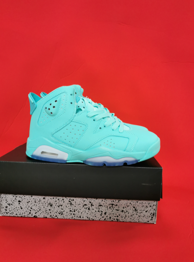 Air Jordan 6 Green Lake