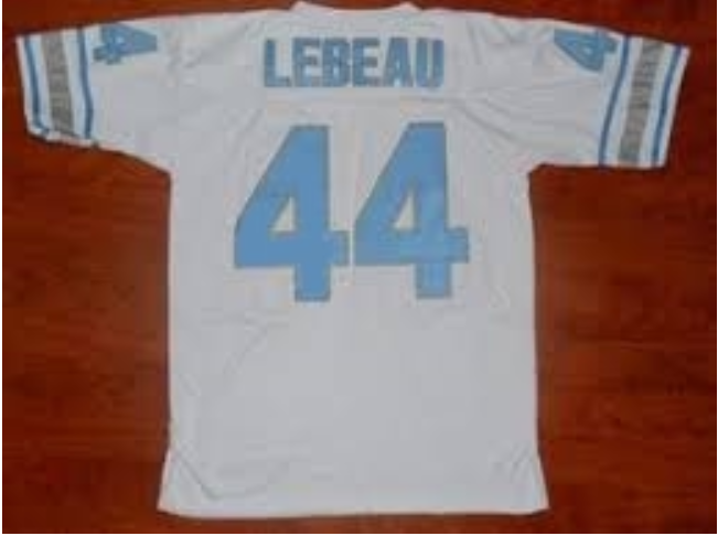 Dick LeBeau Jersey Detroit Lions Custom Throwback Football White