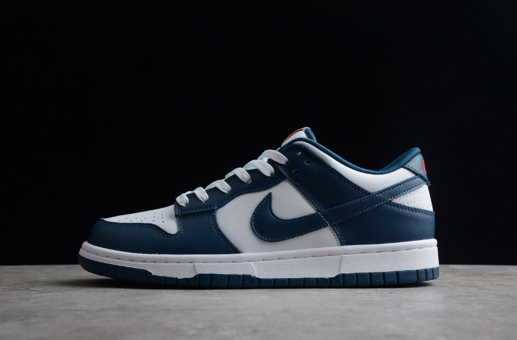 NK Dunk Low Valerian Blue