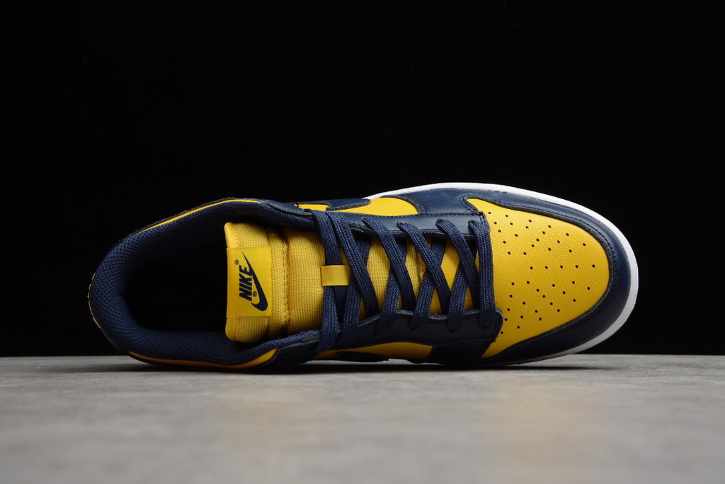 NK Dunk Low Michigan