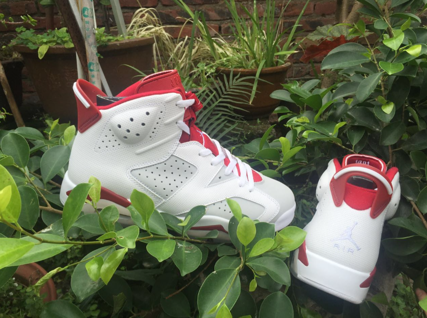 Air Jordan 6 Retro 'Alternate Hare'