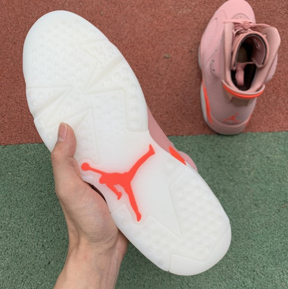 Air Jordan 6 x Aleali May