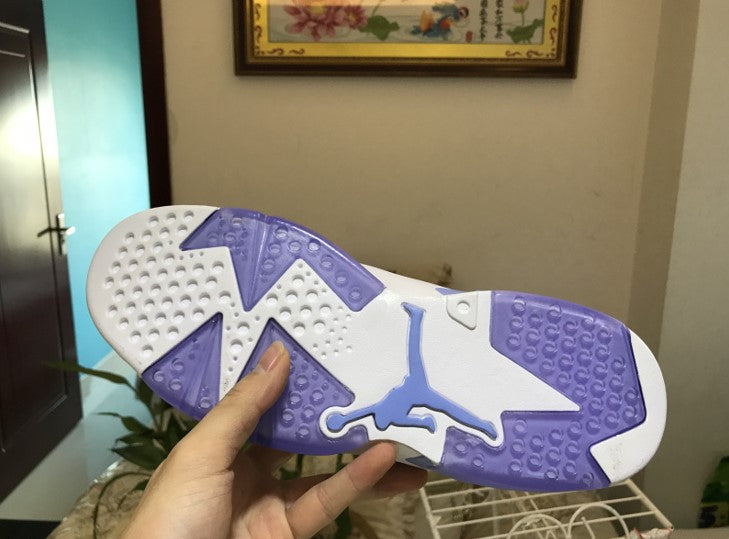 Air Jordan 6 UNC Pantone