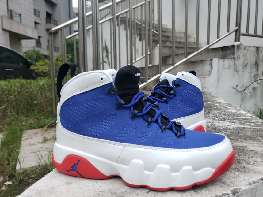 Air Jordan 9 White Orchid