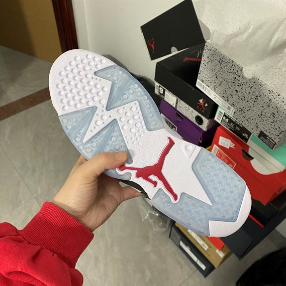 Air Jordan 6 Carmine