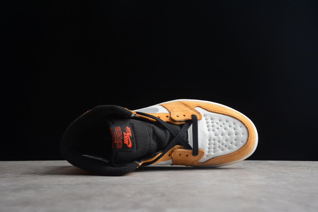 Air Jordan 1 Retro High OG Element Gore Tex Light Curry