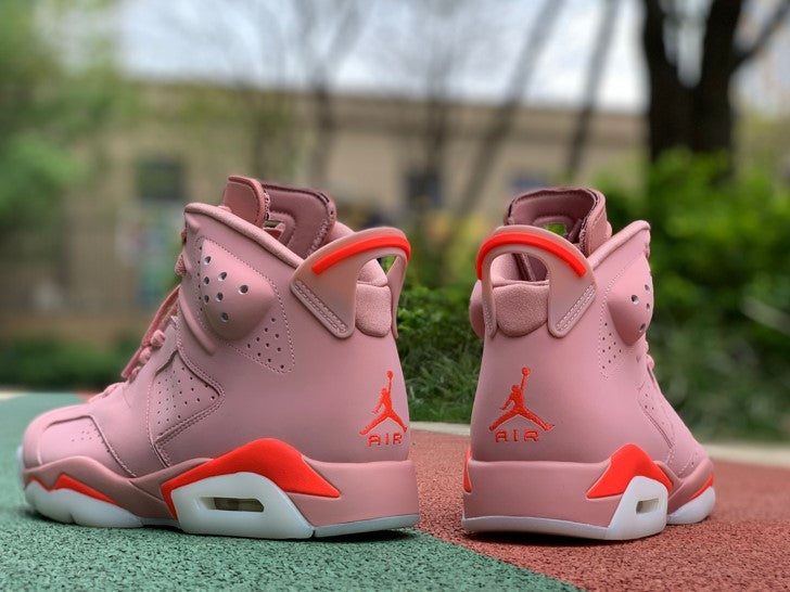 Air Jordan 6 x Aleali May
