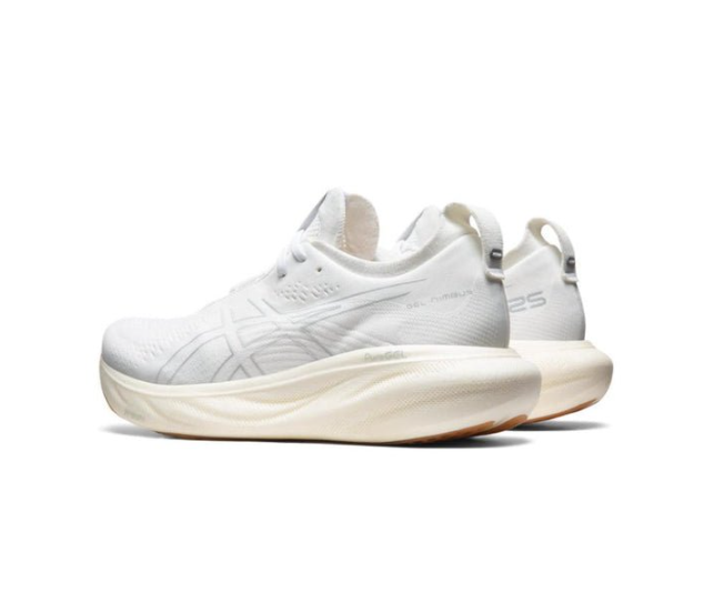 Asics Gel Nimbus 25 White Silver 1011B547-102