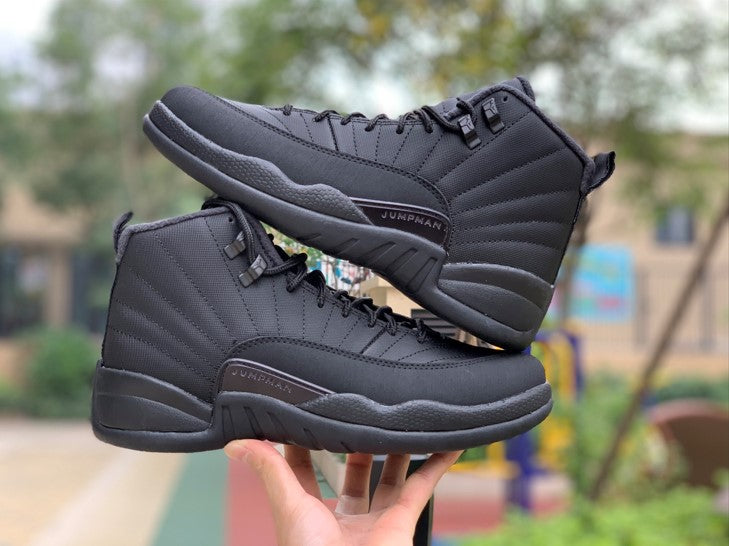 Air Jordan 12 Black Warrior Fleece