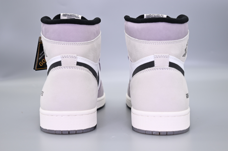 Air Jordan 1 High Element Gore-Tex Light Bone