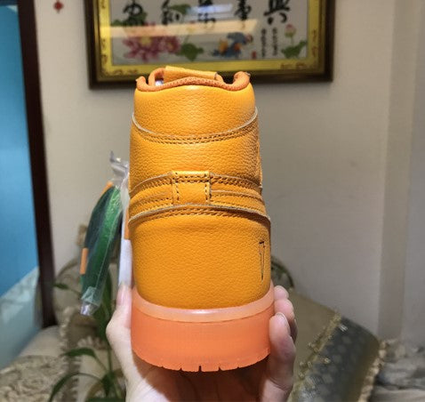Air Jordan 1 Gatorade