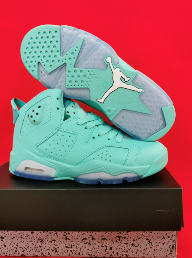 Air Jordan 6 Green Lake