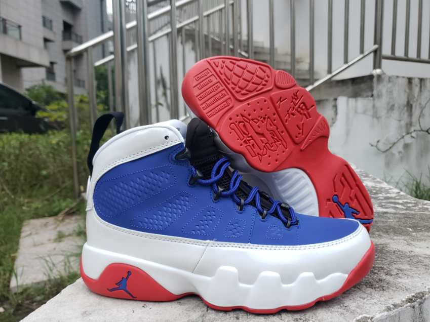 Air Jordan 9 White Orchid
