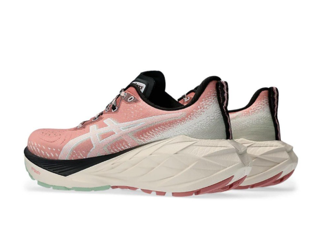 Asics Novablast 4 TR Nature Bathing-Rose Rouge 1012B654-250