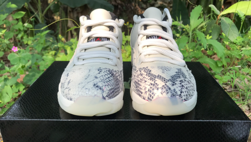 Air Jordan 11 Gray Snake Pattern