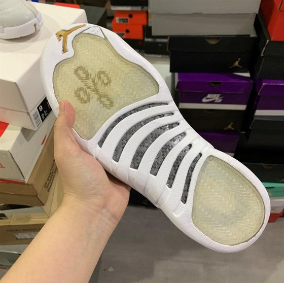 Air Jordan 12 White Platinum Owl x OVO