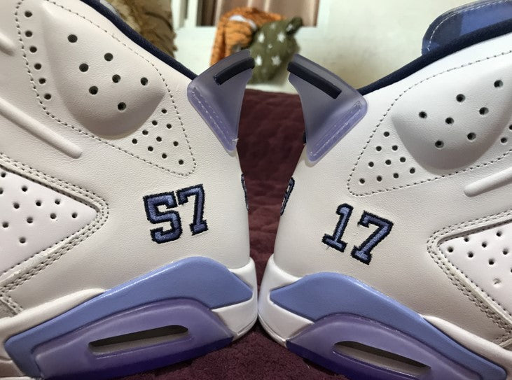Air Jordan 6 UNC Pantone