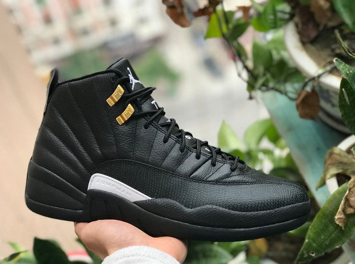 Air Jordan 12 Michigan