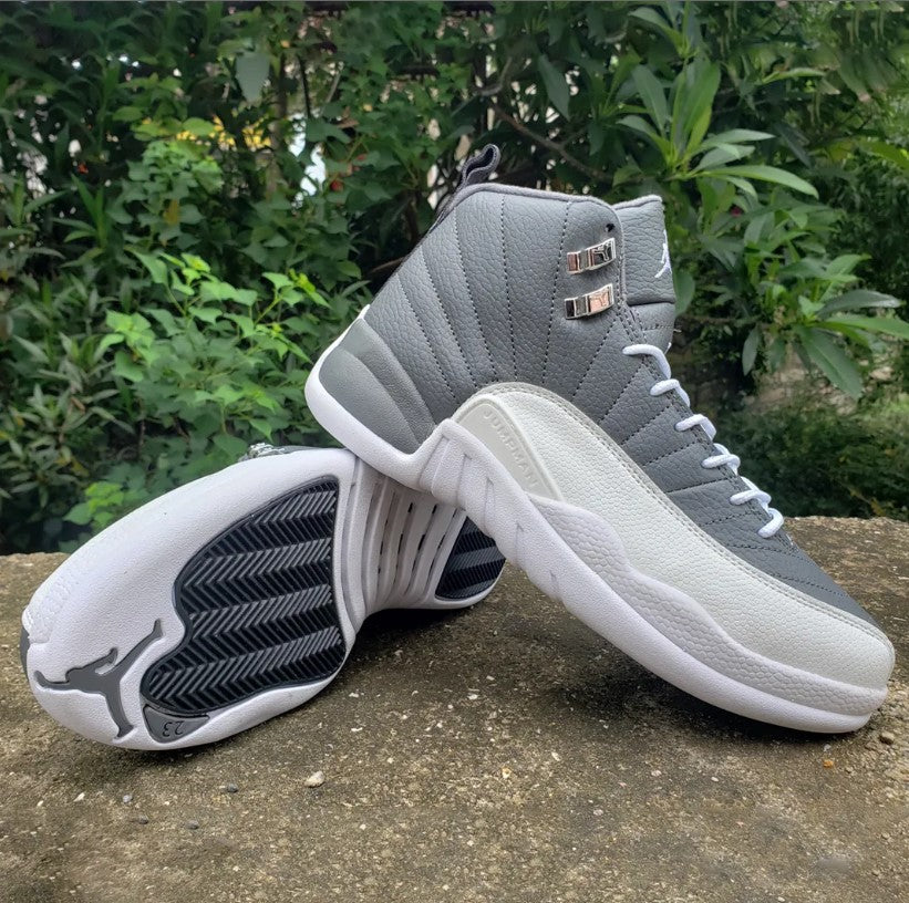 Air Jordan 12 Stealth Shoes Sneakers