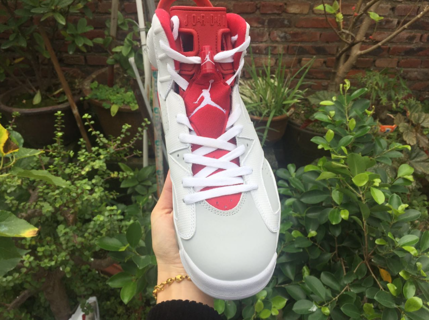 Air Jordan 6 Retro 'Alternate Hare'