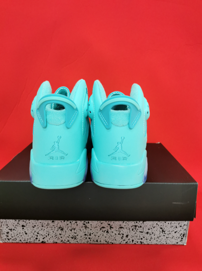 Air Jordan 6 Green Lake