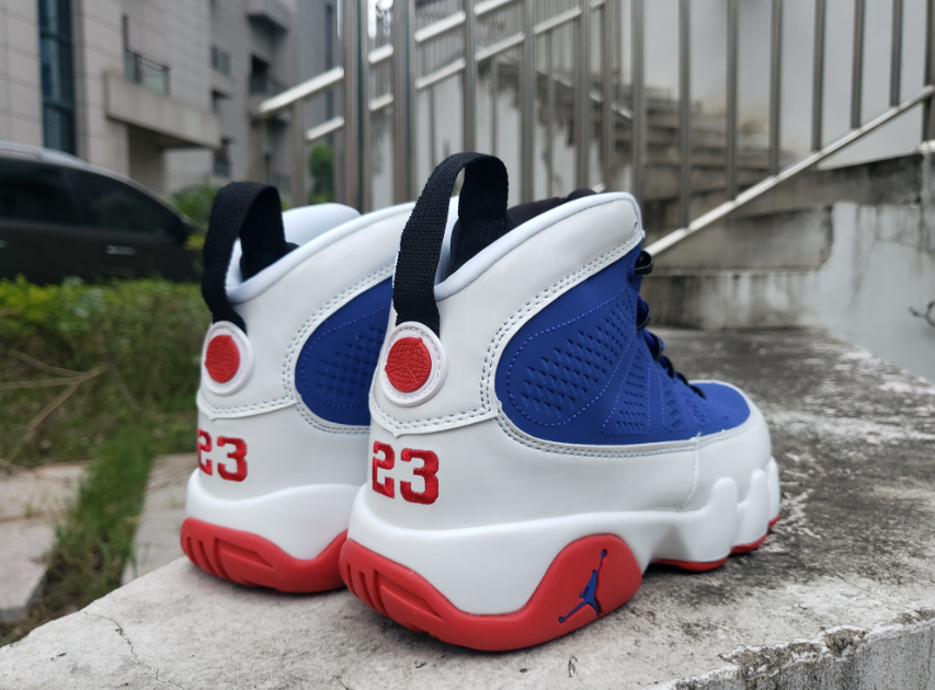 Air Jordan 9 White Orchid