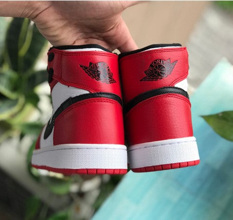 Air Jordan 1 Rebel