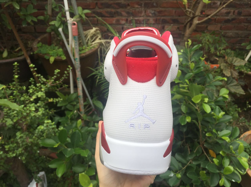 Air Jordan 6 Retro 'Alternate Hare'