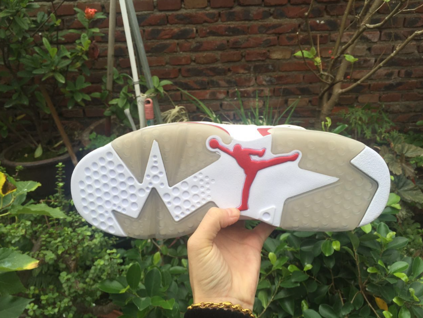 Air Jordan 6 Retro 'Alternate Hare'