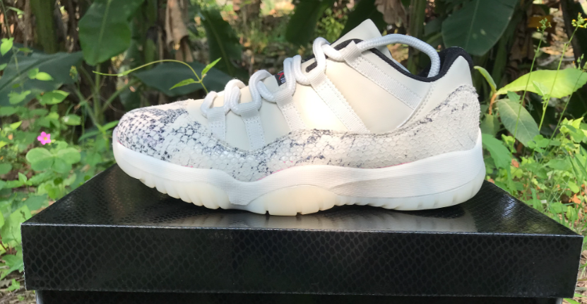 Air Jordan 11 Gray Snake Pattern