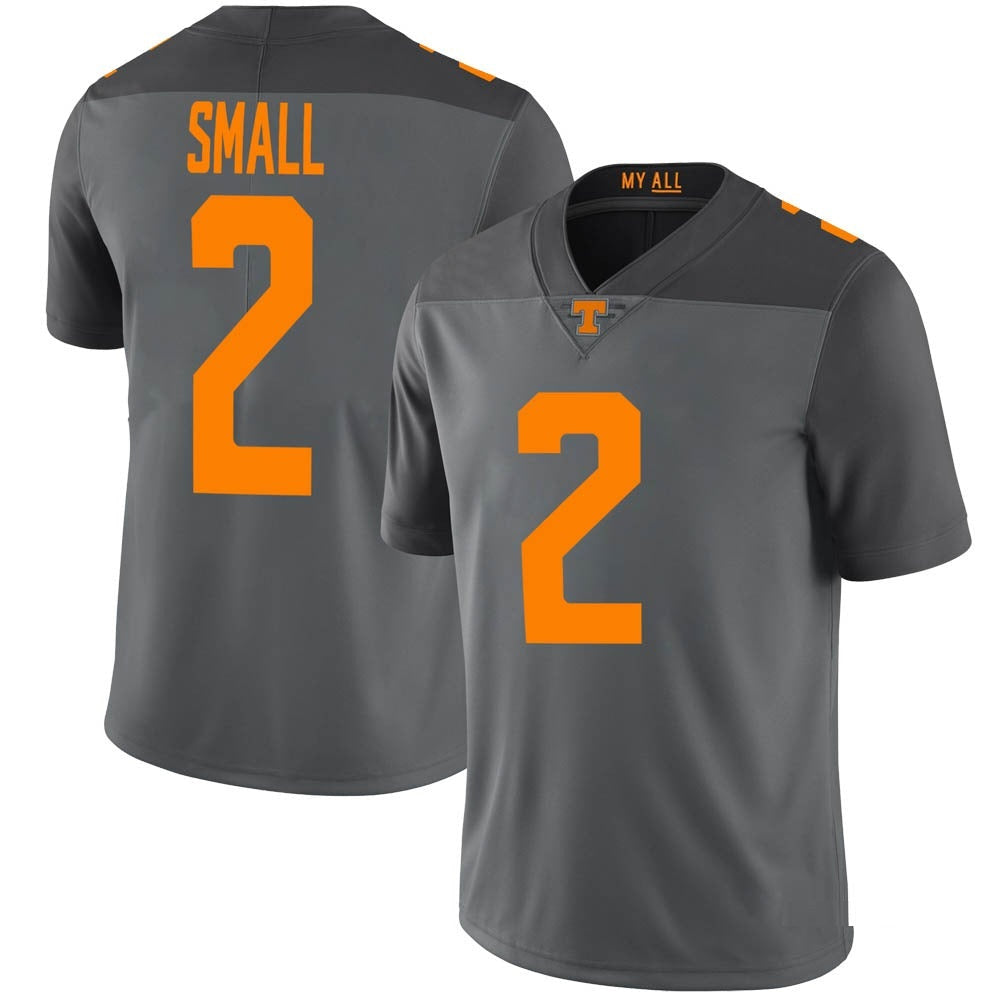 Tennessee Volunteers Jabari Small Jersey #2 College Football Gray