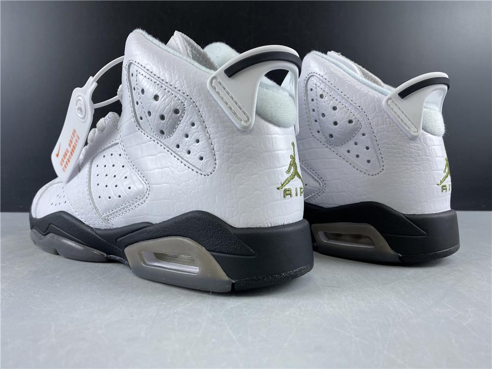 Air Jordan 6 Retro Alligator (GS)
