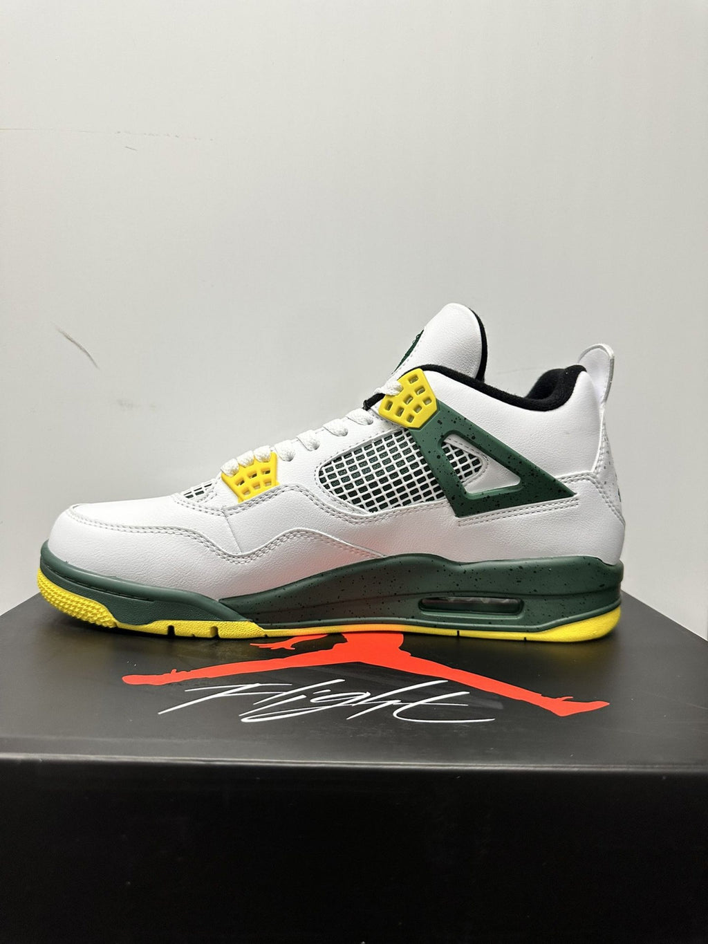 Air Jordan 4 Retro Oregon Ducks
