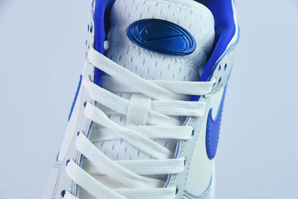 Dunk Low Worldwide White Blue